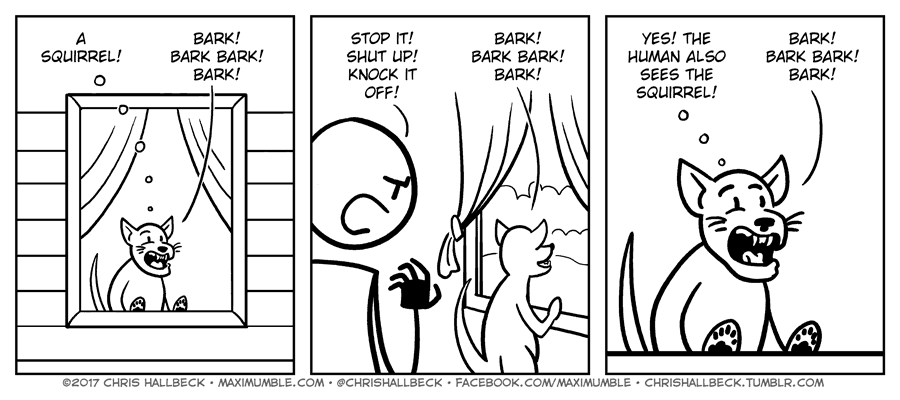 #1468 – Squirrel